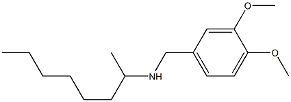 [(3,4-dimethoxyphenyl)methyl](octan-2-yl)amine 结构式