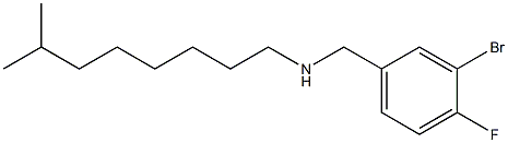 [(3-bromo-4-fluorophenyl)methyl](7-methyloctyl)amine 结构式