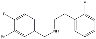 [(3-bromo-4-fluorophenyl)methyl][2-(2-fluorophenyl)ethyl]amine 结构式