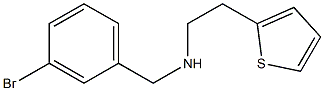 [(3-bromophenyl)methyl][2-(thiophen-2-yl)ethyl]amine 结构式