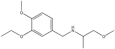 [(3-ethoxy-4-methoxyphenyl)methyl](1-methoxypropan-2-yl)amine 结构式