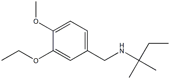 [(3-ethoxy-4-methoxyphenyl)methyl](2-methylbutan-2-yl)amine 结构式