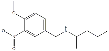 [(4-methoxy-3-nitrophenyl)methyl](pentan-2-yl)amine 结构式