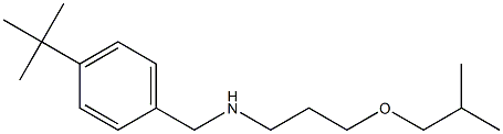 [(4-tert-butylphenyl)methyl][3-(2-methylpropoxy)propyl]amine 结构式