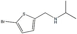 [(5-bromothiophen-2-yl)methyl](propan-2-yl)amine 结构式