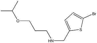 [(5-bromothiophen-2-yl)methyl][3-(propan-2-yloxy)propyl]amine 结构式