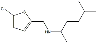 [(5-chlorothiophen-2-yl)methyl](5-methylhexan-2-yl)amine 结构式