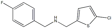 [(5-chlorothiophen-2-yl)methyl][(4-fluorophenyl)methyl]amine 结构式