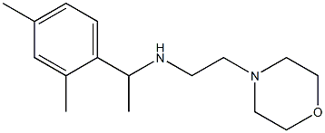 [1-(2,4-dimethylphenyl)ethyl][2-(morpholin-4-yl)ethyl]amine 结构式