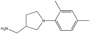 [1-(2,4-dimethylphenyl)pyrrolidin-3-yl]methylamine 结构式