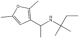 [1-(2,5-dimethylfuran-3-yl)ethyl](2-methylbutan-2-yl)amine 结构式