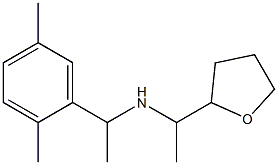 [1-(2,5-dimethylphenyl)ethyl][1-(oxolan-2-yl)ethyl]amine 结构式