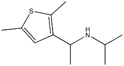 [1-(2,5-dimethylthiophen-3-yl)ethyl](propan-2-yl)amine 结构式