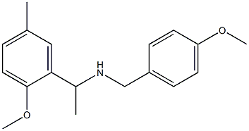 [1-(2-methoxy-5-methylphenyl)ethyl][(4-methoxyphenyl)methyl]amine 结构式