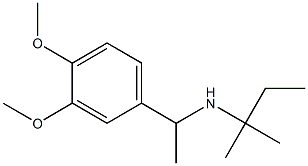 [1-(3,4-dimethoxyphenyl)ethyl](2-methylbutan-2-yl)amine 结构式