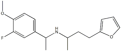 [1-(3-fluoro-4-methoxyphenyl)ethyl][4-(furan-2-yl)butan-2-yl]amine 结构式