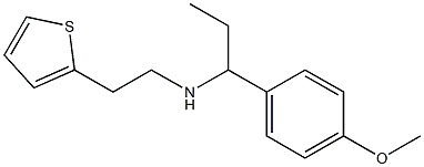 [1-(4-methoxyphenyl)propyl][2-(thiophen-2-yl)ethyl]amine 结构式