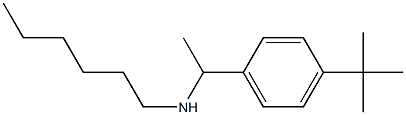 [1-(4-tert-butylphenyl)ethyl](hexyl)amine 结构式