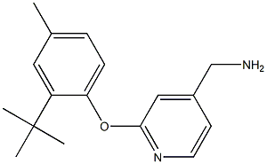 [2-(2-tert-butyl-4-methylphenoxy)pyridin-4-yl]methanamine 结构式