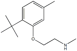 [2-(2-tert-butyl-5-methylphenoxy)ethyl](methyl)amine 结构式