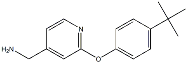 [2-(4-tert-butylphenoxy)pyridin-4-yl]methylamine 结构式