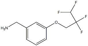 [3-(2,2,3,3-tetrafluoropropoxy)phenyl]methanamine 结构式