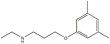 [3-(3,5-dimethylphenoxy)propyl](ethyl)amine 结构式