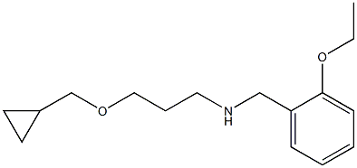 [3-(cyclopropylmethoxy)propyl][(2-ethoxyphenyl)methyl]amine 结构式