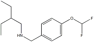 {[4-(difluoromethoxy)phenyl]methyl}(2-ethylbutyl)amine 结构式