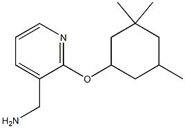 {2-[(3,3,5-trimethylcyclohexyl)oxy]pyridin-3-yl}methanamine 结构式