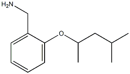 {2-[(4-methylpentan-2-yl)oxy]phenyl}methanamine 结构式