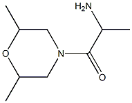 1-(2,6-dimethylmorpholin-4-yl)-1-oxopropan-2-amine 结构式