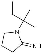 1-(2-methylbutan-2-yl)pyrrolidin-2-imine 结构式