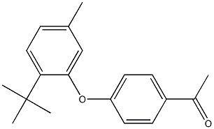 1-[4-(2-tert-butyl-5-methylphenoxy)phenyl]ethan-1-one 结构式