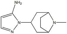 1-{8-methyl-8-azabicyclo[3.2.1]octan-3-yl}-1H-pyrazol-5-amine 结构式