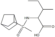 2-(1-{bicyclo[2.2.1]heptan-2-yl}acetamido)-3-methylpentanoic acid 结构式