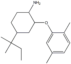 2-(2,5-dimethylphenoxy)-4-(2-methylbutan-2-yl)cyclohexan-1-amine 结构式