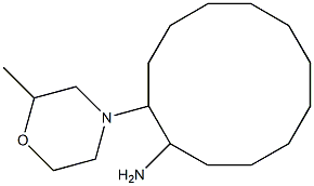2-(2-methylmorpholin-4-yl)cyclododecan-1-amine 结构式