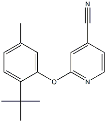 2-(2-tert-butyl-5-methylphenoxy)pyridine-4-carbonitrile 结构式