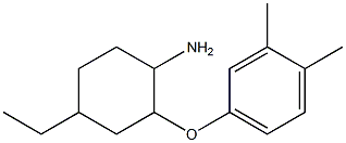 2-(3,4-dimethylphenoxy)-4-ethylcyclohexan-1-amine 结构式