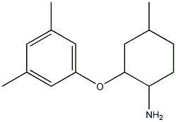 2-(3,5-dimethylphenoxy)-4-methylcyclohexan-1-amine 结构式