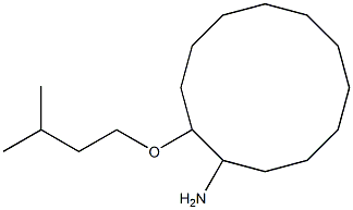 2-(3-methylbutoxy)cyclododecan-1-amine 结构式