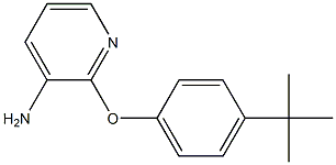 2-(4-tert-butylphenoxy)pyridin-3-amine 结构式