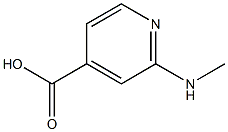 2-(methylamino)pyridine-4-carboxylic acid 结构式