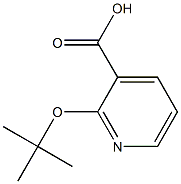 2-(tert-butoxy)pyridine-3-carboxylic acid 结构式