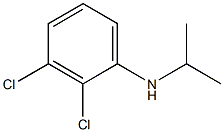 2,3-dichloro-N-(propan-2-yl)aniline 结构式