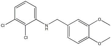 2,3-dichloro-N-[(3,4-dimethoxyphenyl)methyl]aniline 结构式