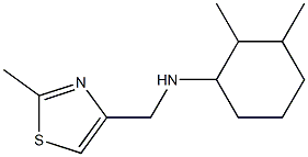 2,3-dimethyl-N-[(2-methyl-1,3-thiazol-4-yl)methyl]cyclohexan-1-amine 结构式