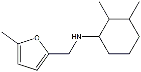 2,3-dimethyl-N-[(5-methylfuran-2-yl)methyl]cyclohexan-1-amine 结构式