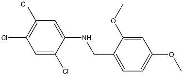 2,4,5-trichloro-N-[(2,4-dimethoxyphenyl)methyl]aniline 结构式